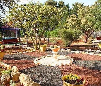 Safed Inn 3* Safed
